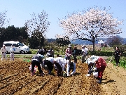 体験農園